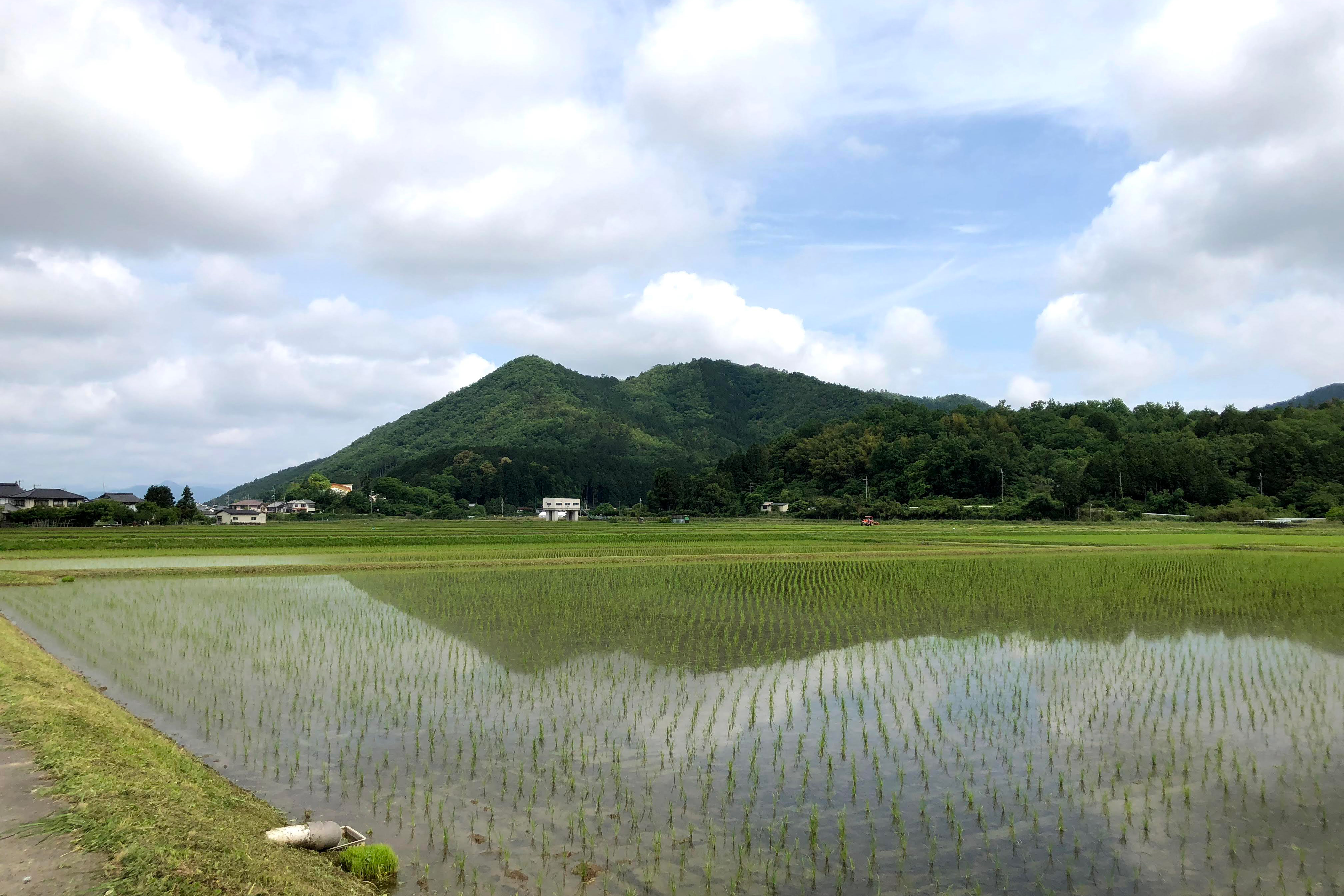 地元 六人部の酒米でつくる